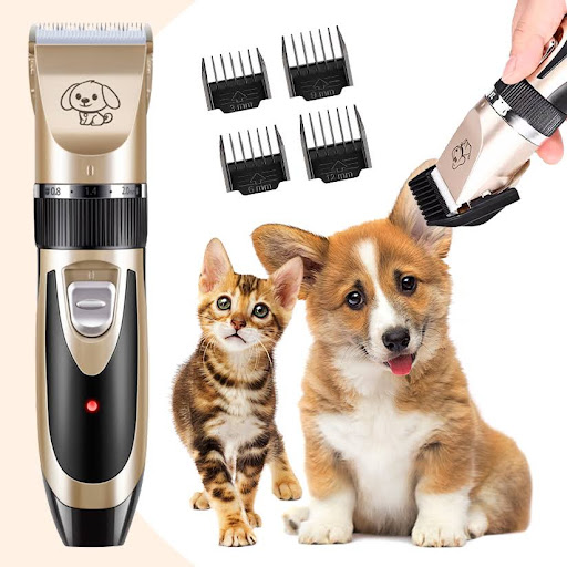 Best Dog Clippers For Australian Shepherd (Jan 2023 Update) Almost